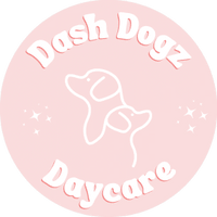 Dash Dogz Daycare